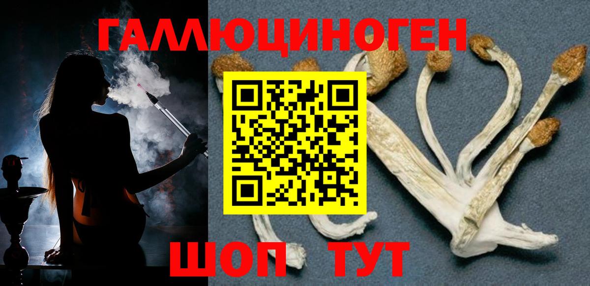 Нефтекамск  хочу   Вход с VPN  Галлюциногенные грибы прущие грибы 