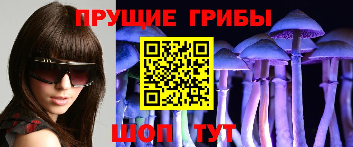 Псилоцибиновые грибы Psilocybe Нефтекамск